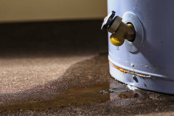 Best 24/7 water damage repair  in Dry Run, OH