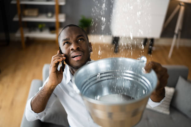 Best 24-hour water damage restoration  in Dry Run, OH
