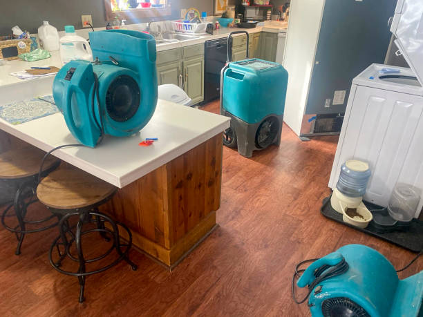 Best Professional water damage repair  in Dry Run, OH