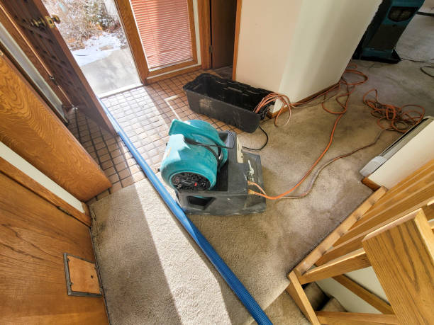 Best Basement water damage restoration  in Dry Run, OH