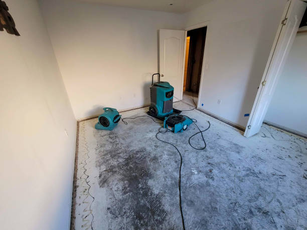 Best Water damage restoration near me  in Dry Run, OH