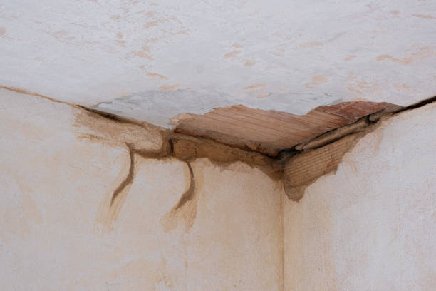 Best Water damage restoration process  in Dry Run, OH