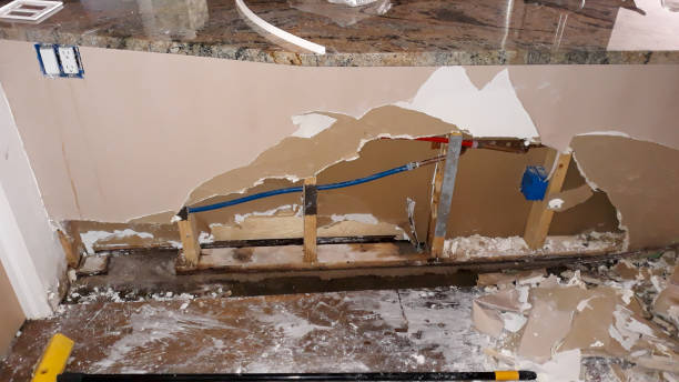 Best Basement water damage restoration  in Dry Run, OH