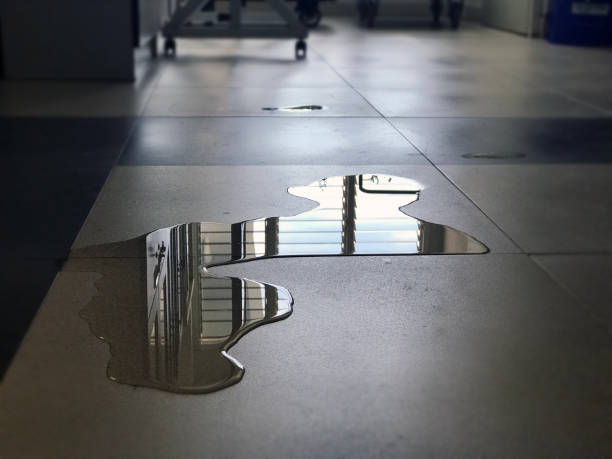 Best Water damage restoration near me  in Dry Run, OH