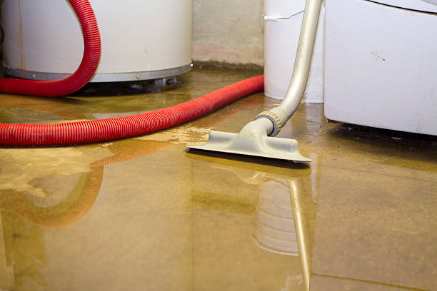 Best Ceiling water damage repair  in Dry Run, OH