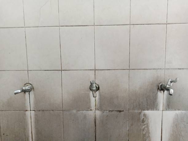 Best Flooded house restoration  in Dry Run, OH