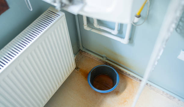 Best Local water damage restoration  in Dry Run, OH