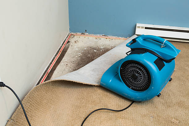 Best Fire Damage Restoration  in Dry Run, OH